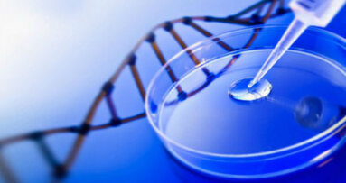 La vita aliena creata in laboratorio: sensazionale scoperta americana