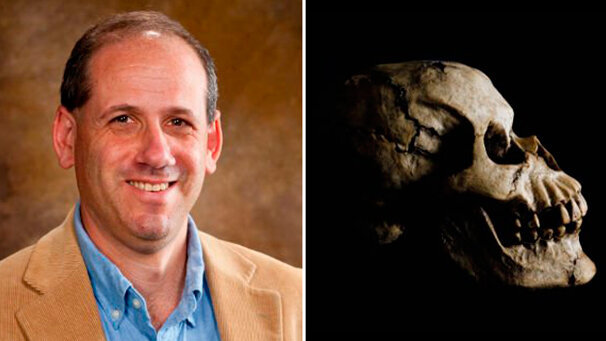 Denti e dieta, uno stretto legame confermato da nuove ricerche sui fossili