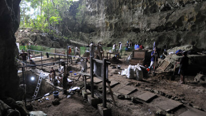 Entretien avec le paléothropologue Clément Zanolli sur la découverte d'une nouvelle espèce humaine