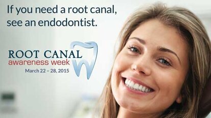 Americans say, ‘I would rather have a root canal than the flu’ Americans say, ‘I would rather have a root canal than the flu’