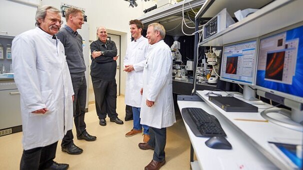 Bisphenol A blockiert die Zellfunktion