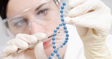 Wachstum von Tumorzellen durch verschwundenes Erbgut