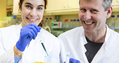 Bakterien & Immunzellen: Gegenseitige Kontrolle im Zahnfleisch