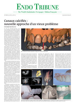 Endo Tribune France No. 2, 2021