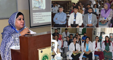 LCMD holds, lectures, workshop on 'Crown and Bridge'