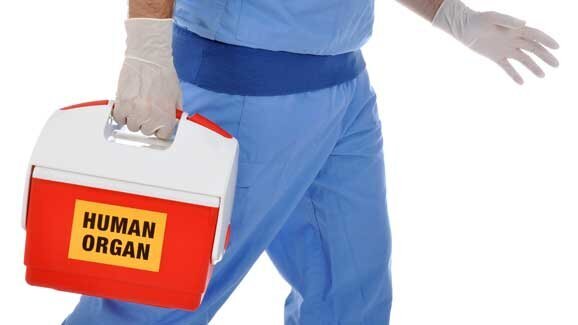 Organspenden in der Schweiz 2012 rückläufig