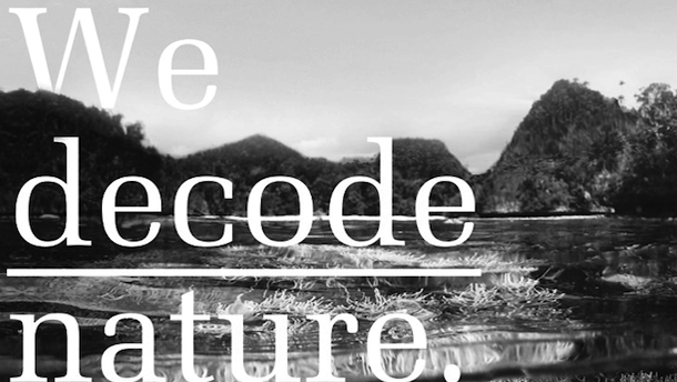 Comunicado de Phibo sobre relaciones comerciales