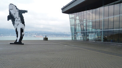 Six live-dentistry sessions scheduled for 2020 Pacific Dental Conference