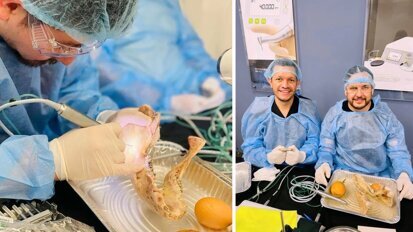 Cursos sobre innovación tecnológica y su aplicación clínica