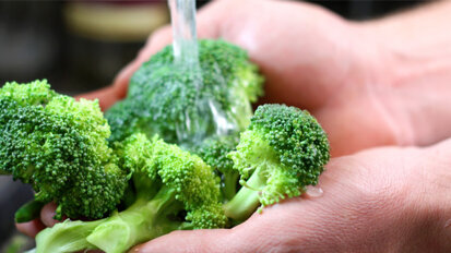 Brokkoli stark gegen Krebs im Kopf-Hals-Bereich