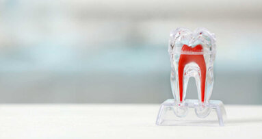 Pesquisadores descobrem método para controlar o desenvolvimento radicular