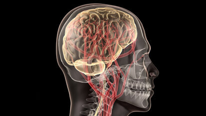 Fluorid negativ für neurologische Entwicklung?