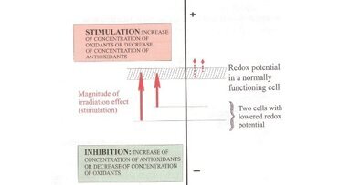Fototerapia laserowa – nowy kierunek rozwoju stomatologii