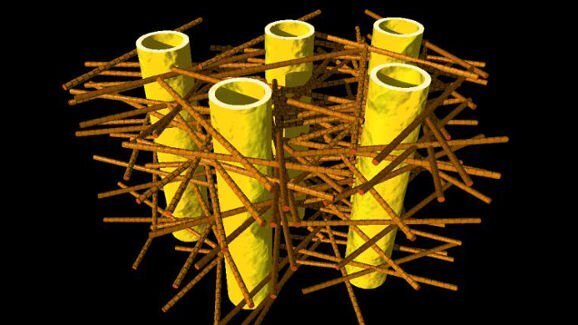 Здрави зъби: учени разкриват вътрешното устройство на дентина