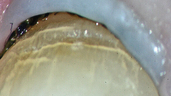 Experienced and novice users alike are invited to AMED meeting