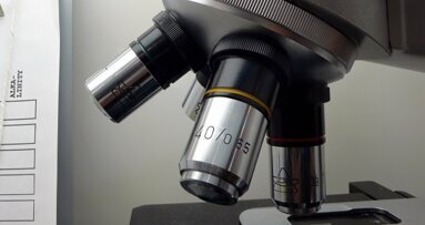 Polsko-amerykańskie badania komórek macierzystych