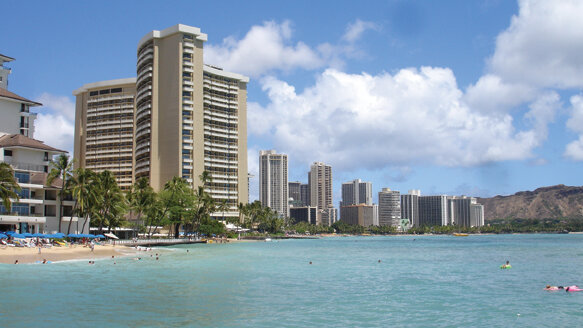 AAE unveils meeting highlights for 2013 Annual Session