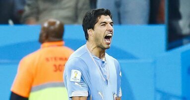 Entrevista: “Uma mordida de uma pessoa pode causar sérios problemas à saúde”