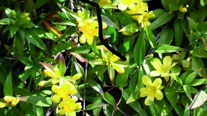 Stress au cabinet dentaire