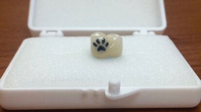 PAW’s ‘tatooth’: Buccal aspect adventure connects hygienist with lab tech