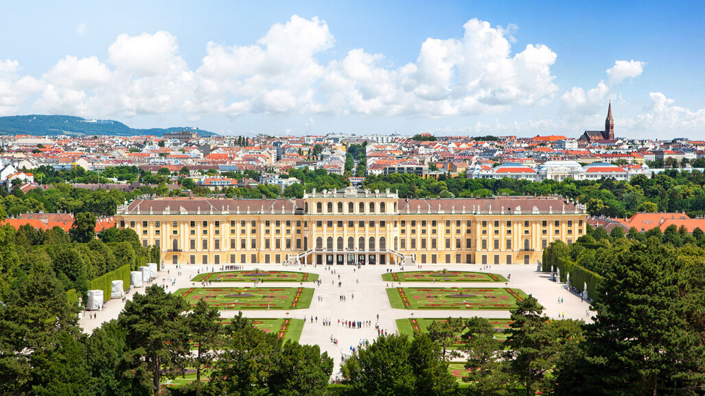 Anatomical Surgery Course