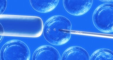 Stammzellen aus dem Zahnmark