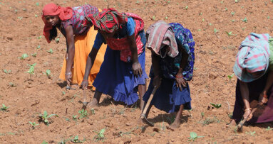 India raises efforts in oral cancer fight