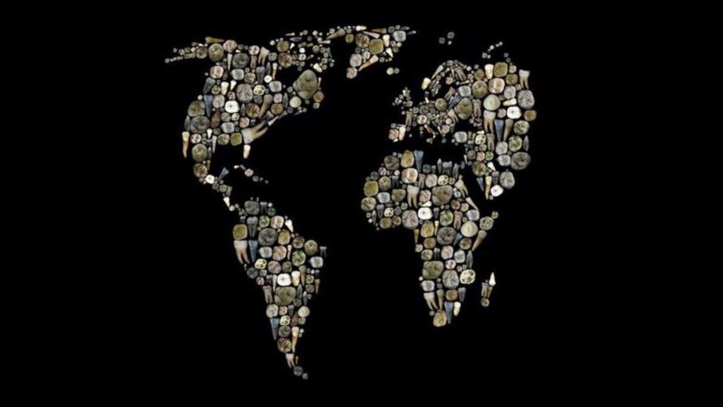 Pesquisadores descobrem quais características dentárias revelam relações genéticas