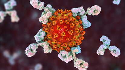 Antibody testing for SARS-CoV-2: “We need to talk more about it”