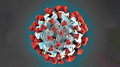 El virus que actualizó el idioma