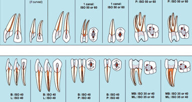BioRaCe—Efficient, safe and biological based sequence files