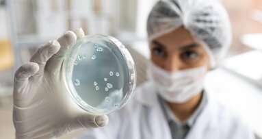 Selenomonas sputigena – nowy gatunek bakterii odpowiedzialnych za próchnicę