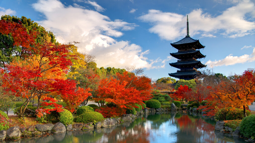 Japan Digital Dentistry Meeting