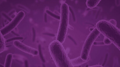 Ο προβιοτικός παράγοντας Saccharomyces boulardii (CNCM Ι-745) στην καθ΄ημέρα κλινική πράξη