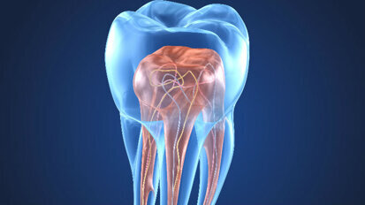 Da dove iniziare? Il bagaglio minimo per un endodontista