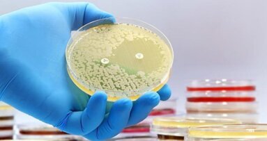 Proces uodparniania się drobnoustrojów na antybiotyki przyspiesza