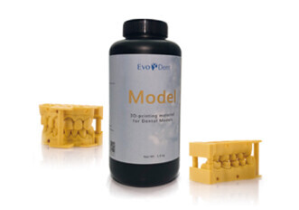 EvoDent Model