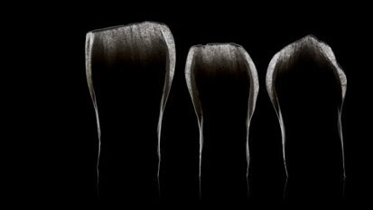 Наближава следващото издание на Bio-Emulation Colloquium