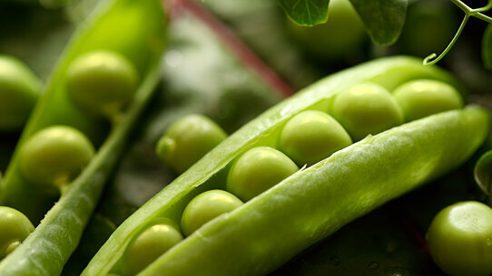 Witamina B zawarta w warzywach zmniejsza ryzyko rozwoju raka jamy ustnej