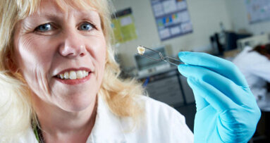 Victorian baby teeth could help predict future health of children today