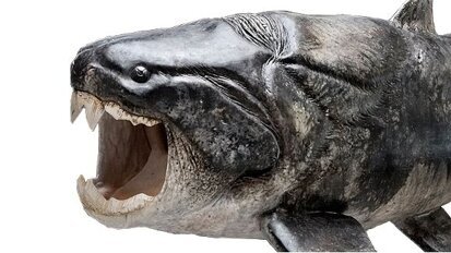 Researchers discover the origin of teeth