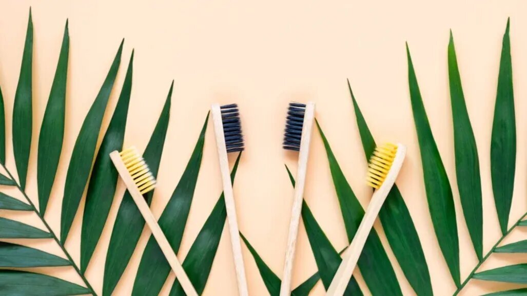 Водещ университет залага на холистичен подход към устойчивостта