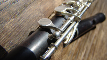 Used woodwind and brass musical instruments harbor harmful bacteria and fungi