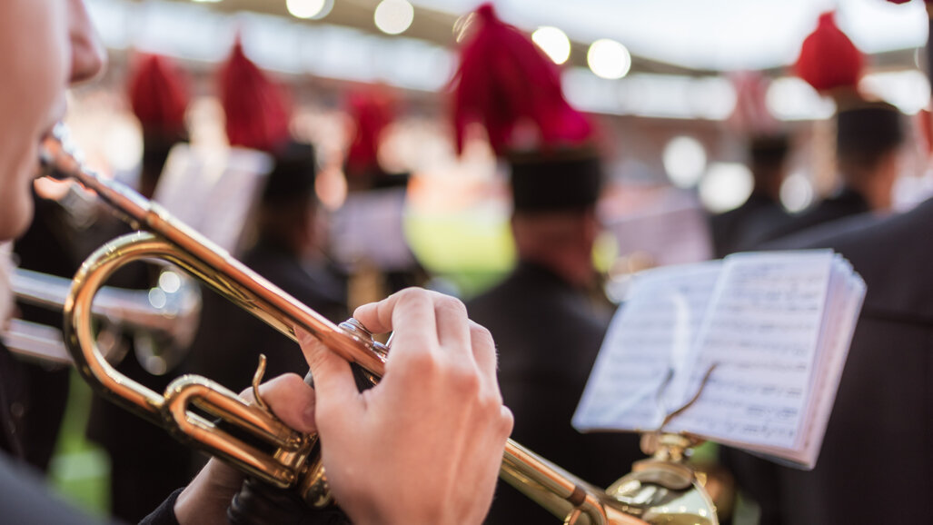 German orchestra musicians report high oral health awareness but common orofacial pain