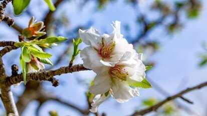 Jak sobie radzić z wiosennym przesileniem