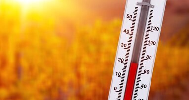 Forderungen für ein bezahltes Hitzefrei in Zahnarztpraxen