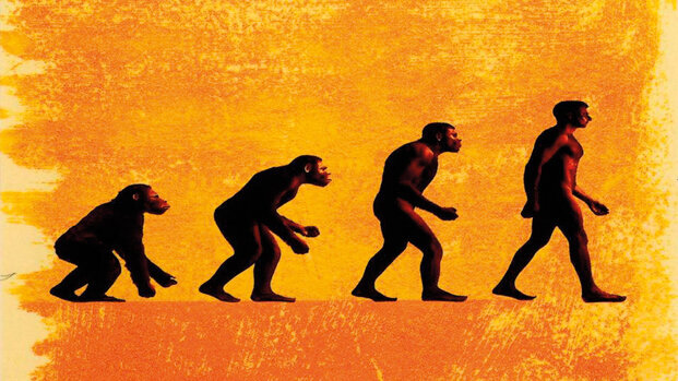 In ossequio all’ergonomia al Congresso SISIO i campi magnetici contrapposti della TMT