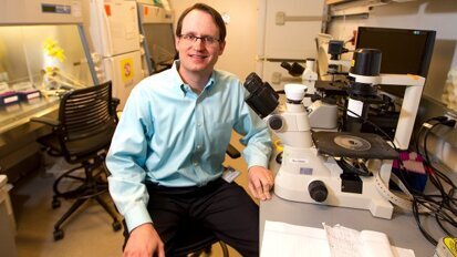 Un esame del sangue potrà essere utilizzato per rivelare prima il cancro