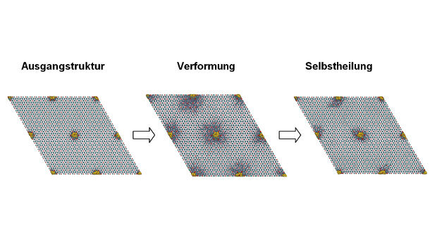 Eiweiß für Regeneration des Zahnschmelzes verantwortlich