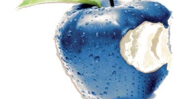 Service mit Mehrwertnutzen